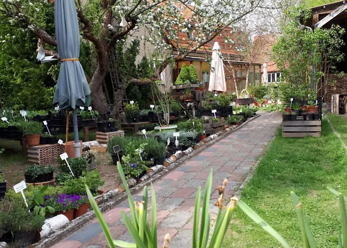 Kraeuter-heidi Garten